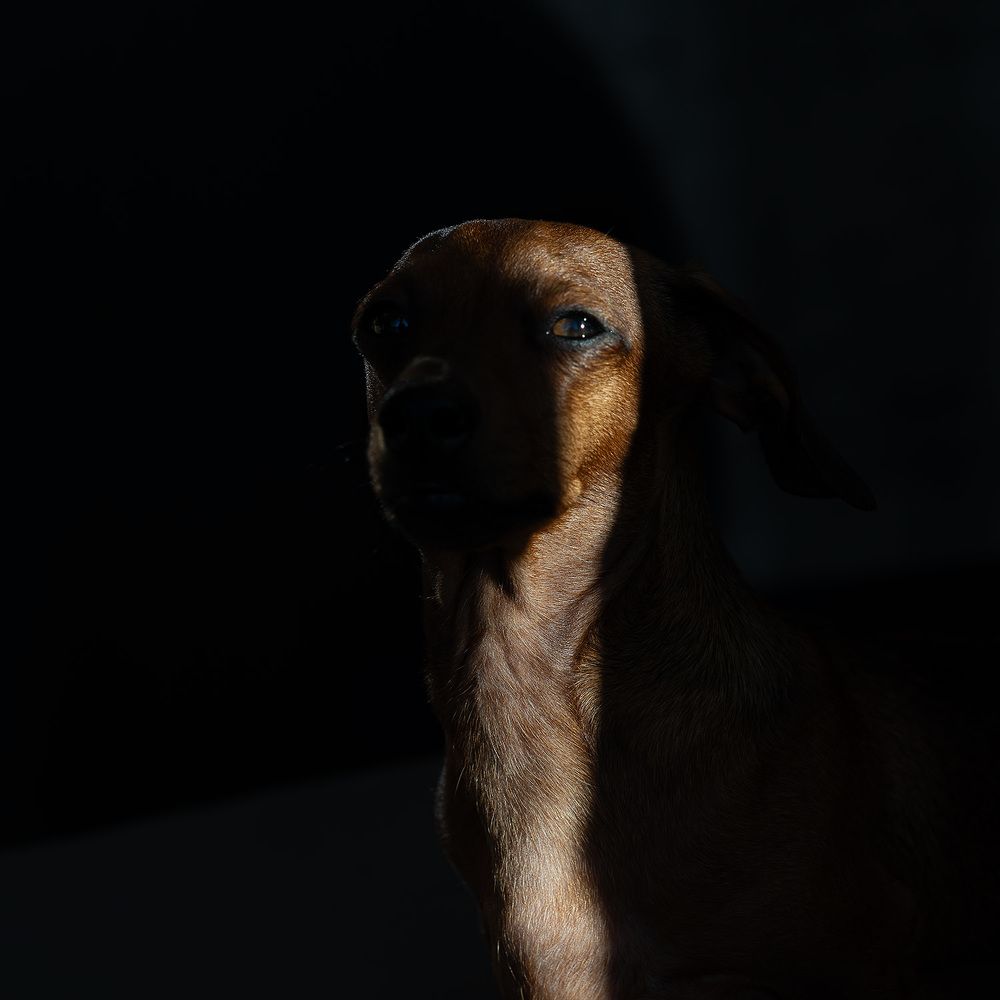 Photograph by Алла Логинова