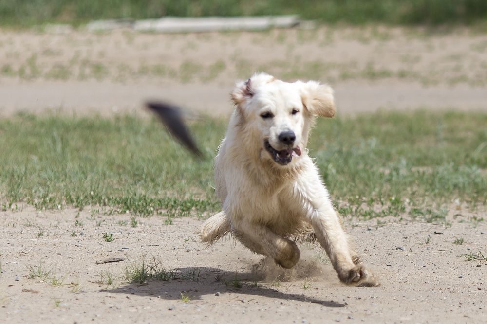Photograph by Олег Дорошенко