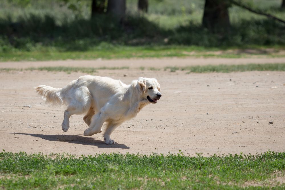 Photograph by Олег Дорошенко