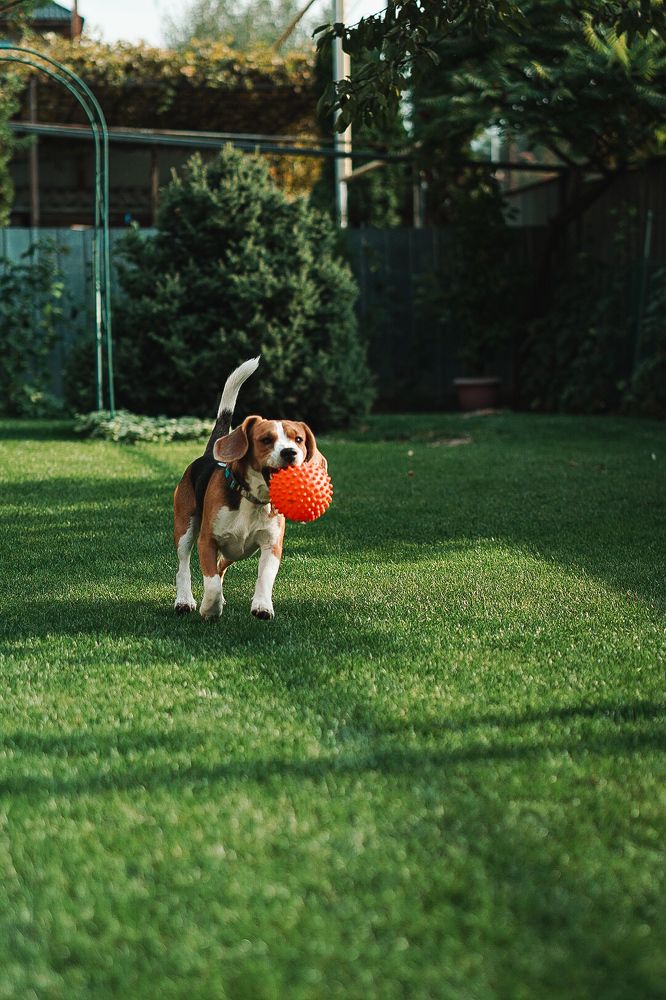 Фотография автора Yana Zaripova