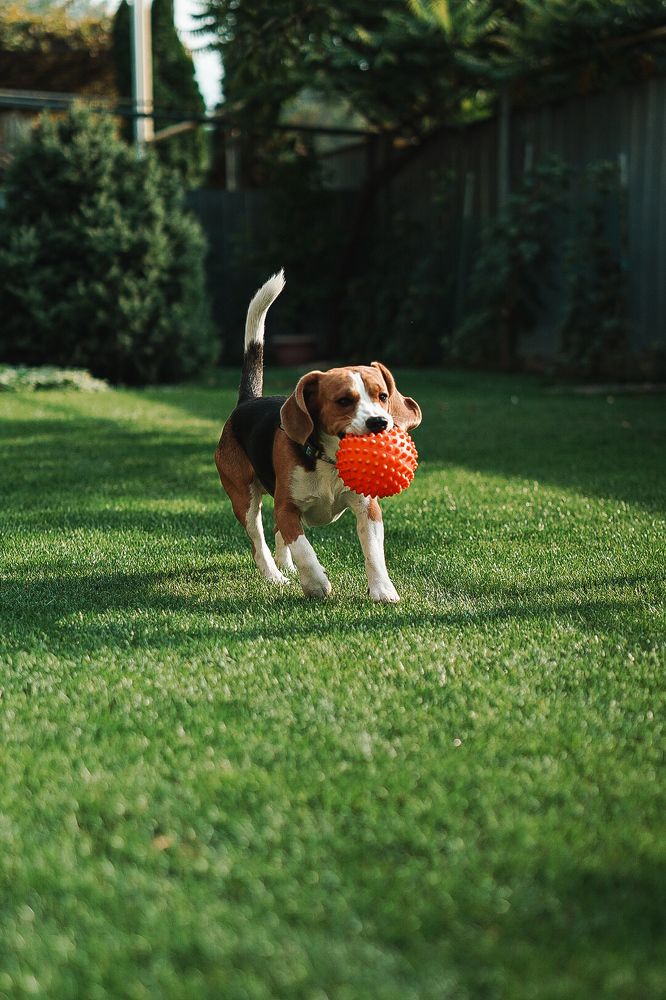 Фотография автора Yana Zaripova