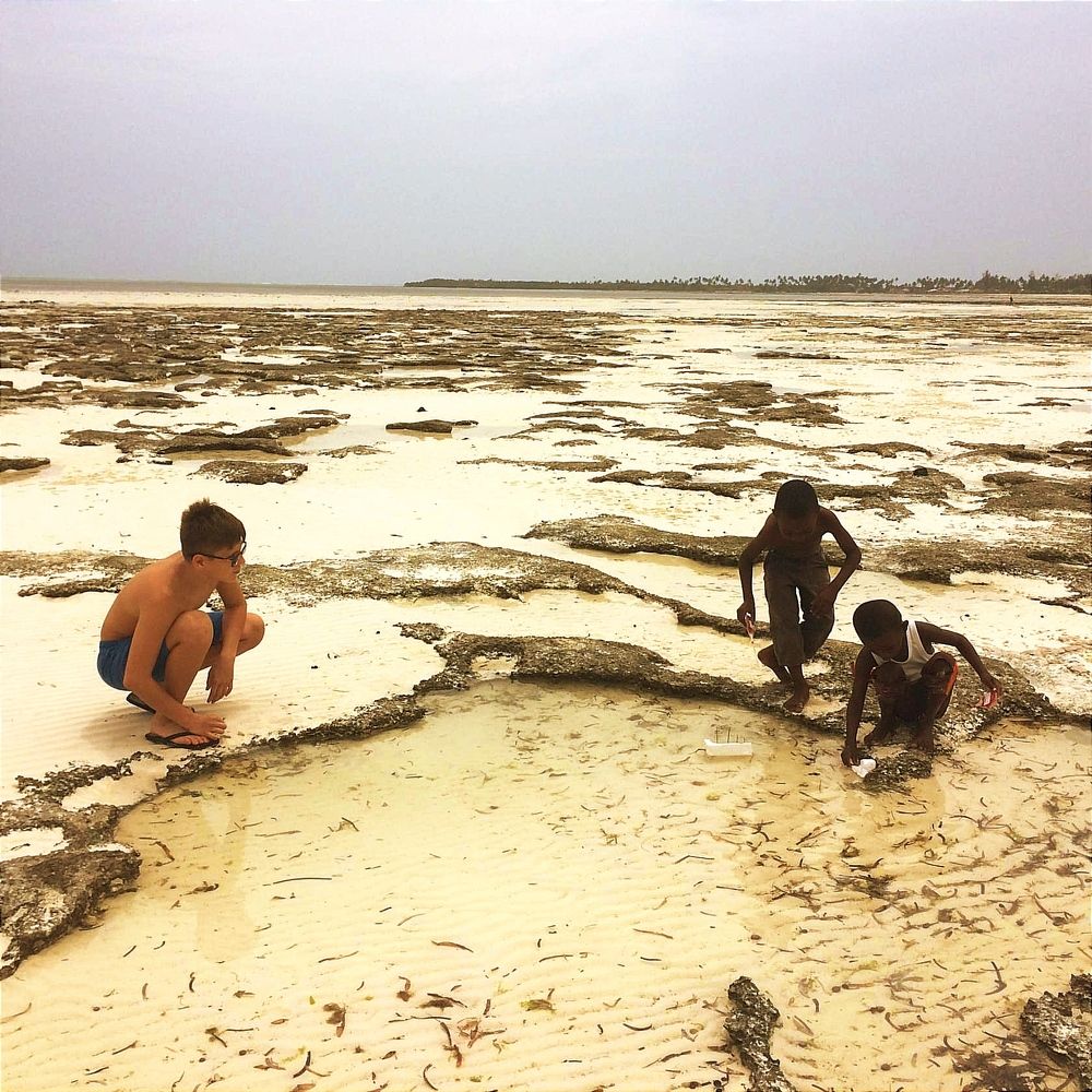 Photograph by Елена Юдина