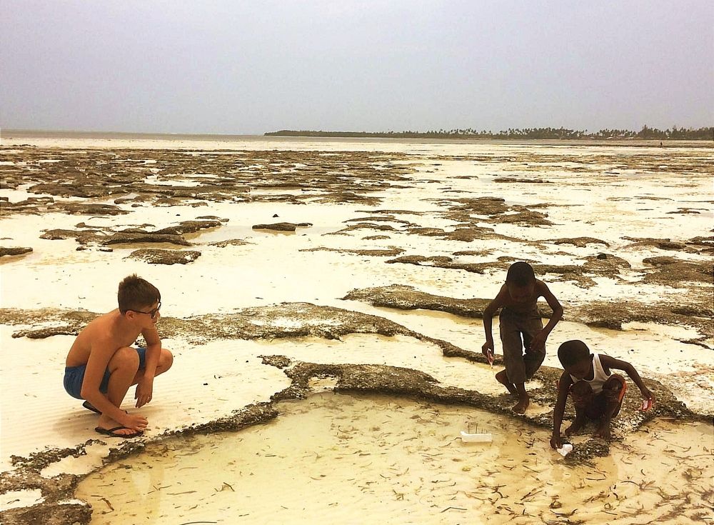 Photograph by Елена Юдина