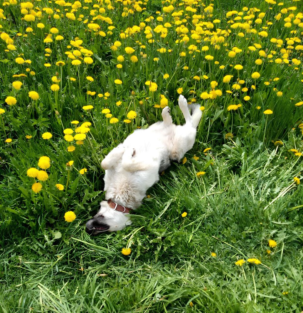 Photograph by Анастасия Бардыкина