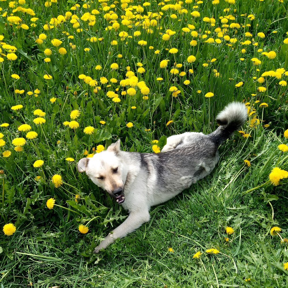 Photograph by Анастасия Бардыкина