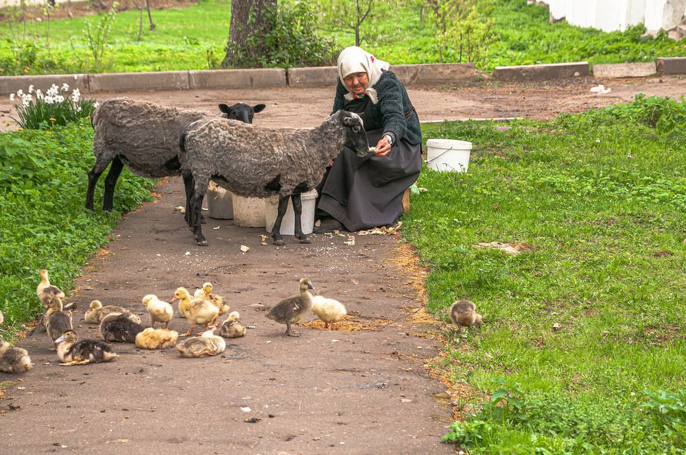 Photograph by Vladimir  Komarov