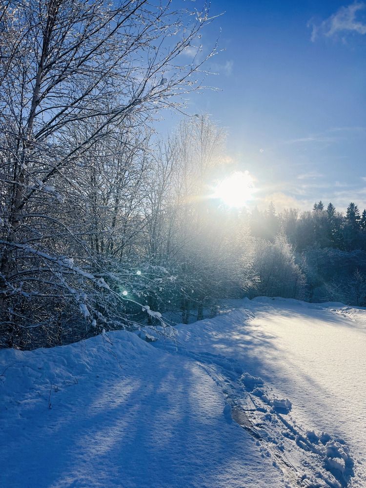 Можайский район, д.Бородино