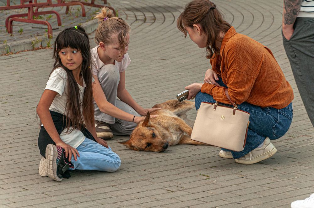 Photograph by Vladimir  Komarov