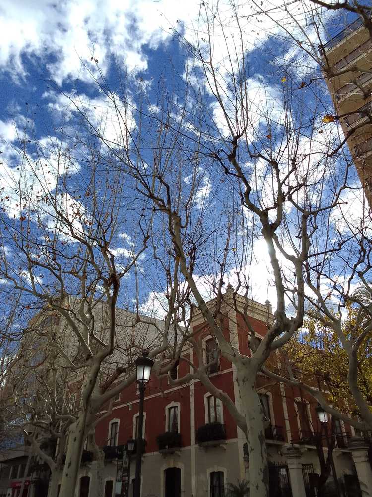 Photograph by Sergio Oleksenko