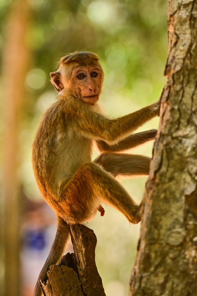 Photograph by nimalan subramaniam