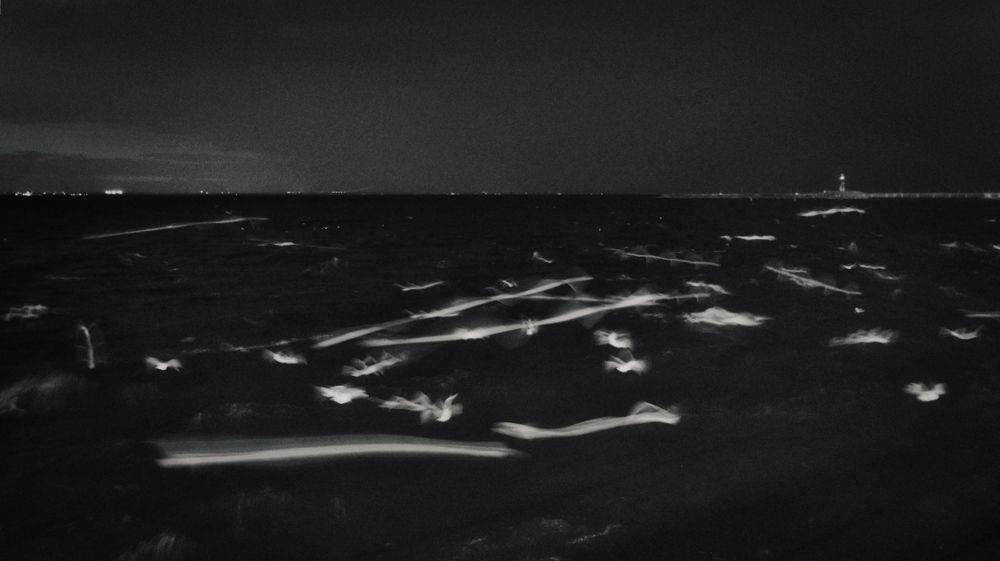 Photograph by Олег Мусин