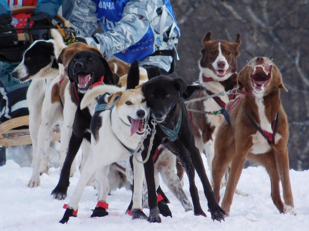 Кипучая энергия