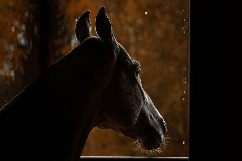 Photograph by Зубкова Юлия