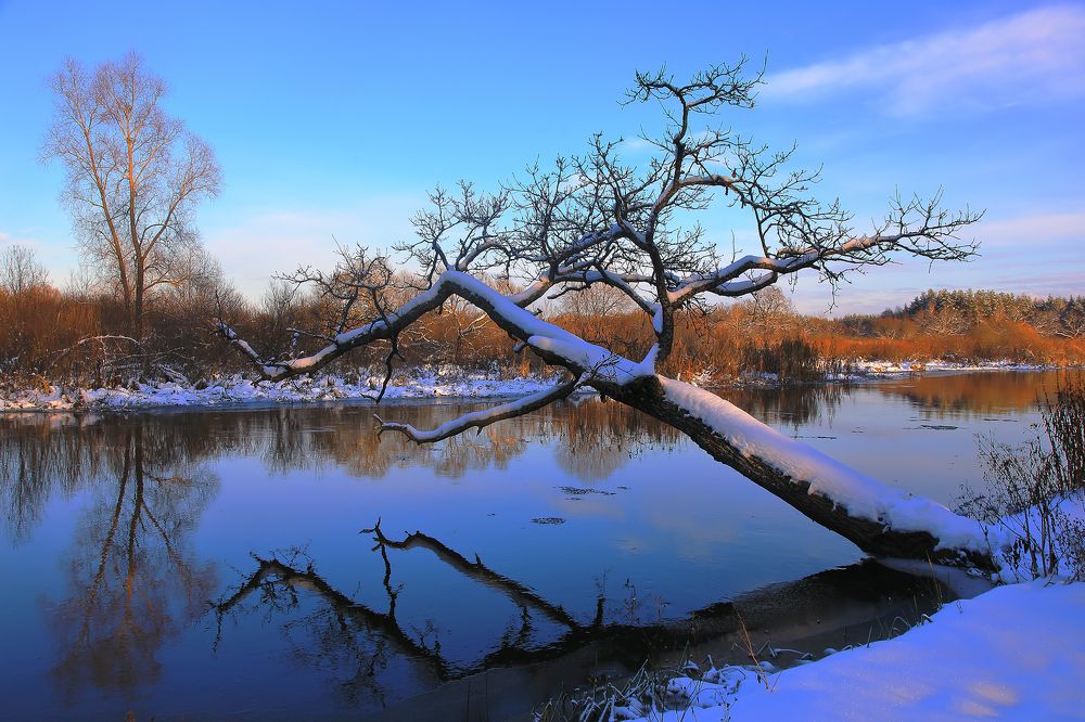 Photograph by Николай Протасеня