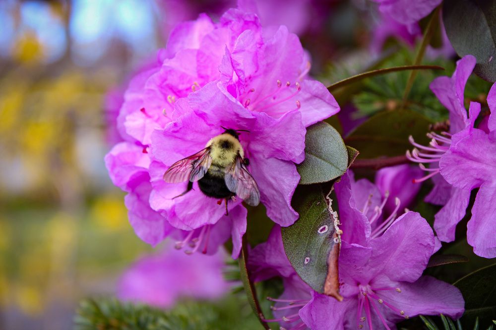 Photograph by Толкун Асаналы