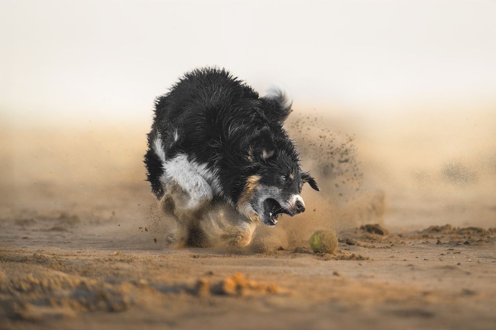 Photograph by Paula Casado Gutierrez