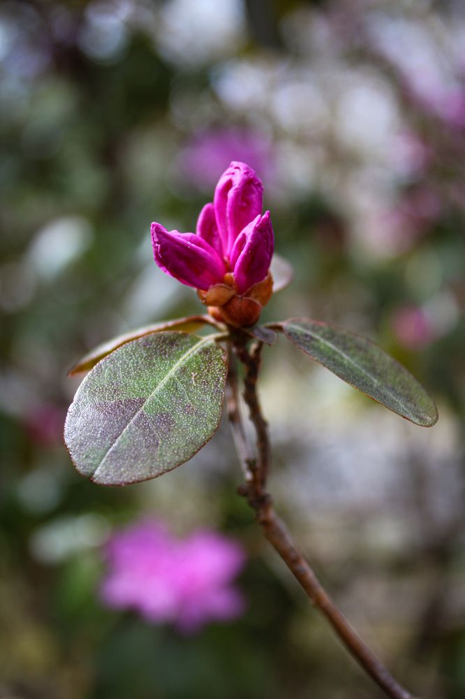 Photograph by Толкун Асаналы