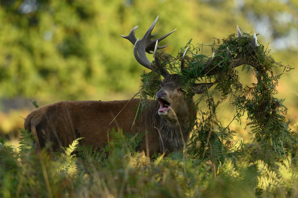 Фотография автора Lukasz Wojcik