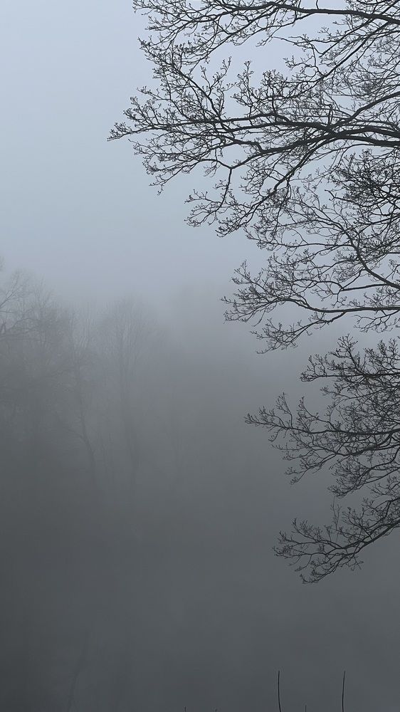 Photograph by Ольга Флер