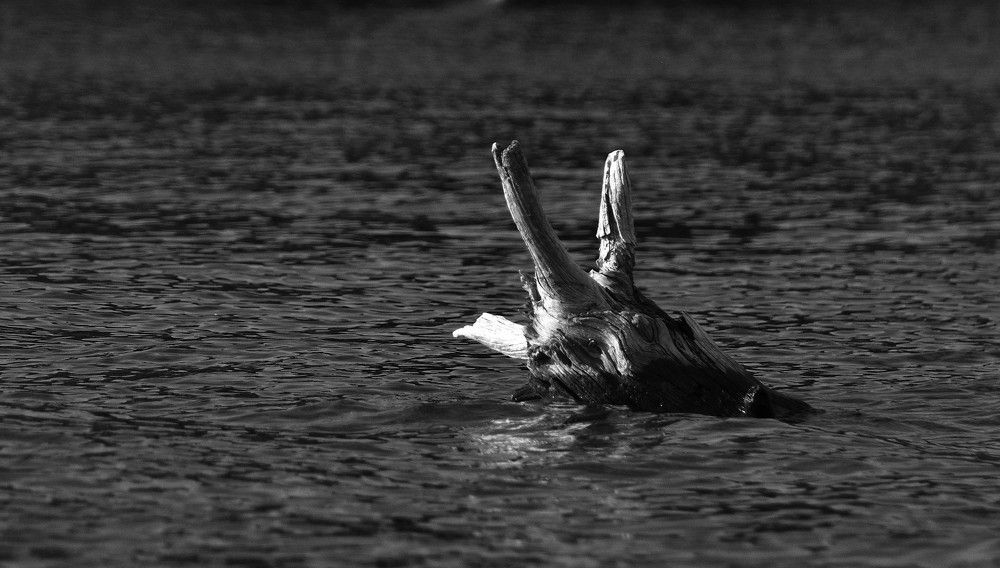 Photograph by Андрей Куликов