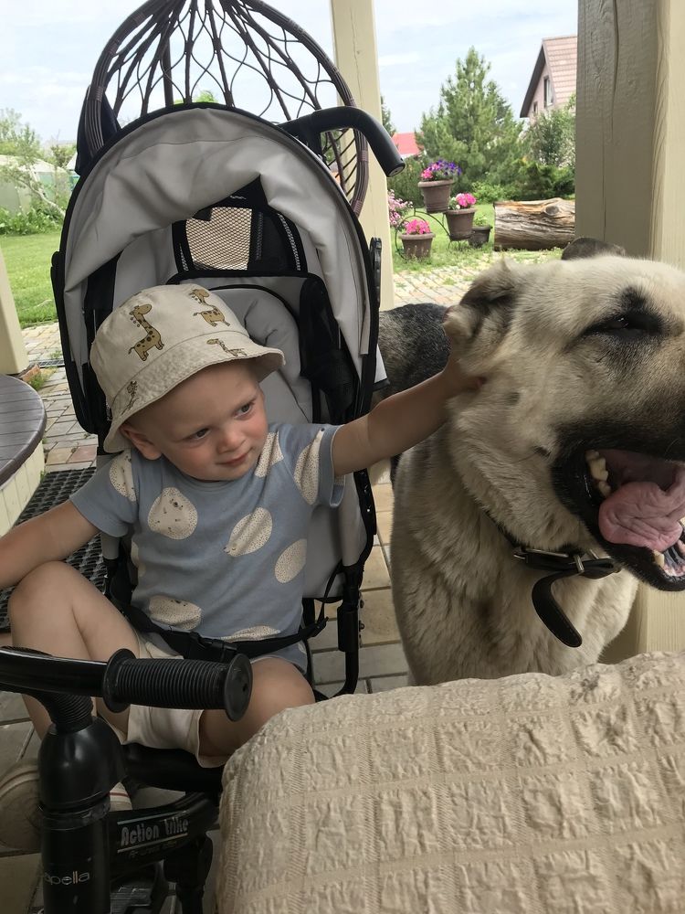 Photograph by Татьяна Гуськова