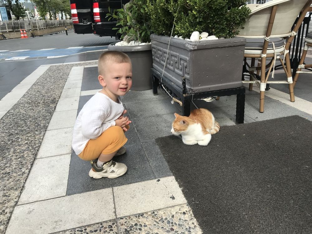 Photograph by Татьяна Гуськова