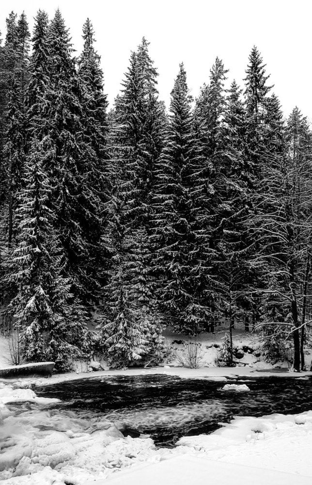 Photograph by Надежда Козлова