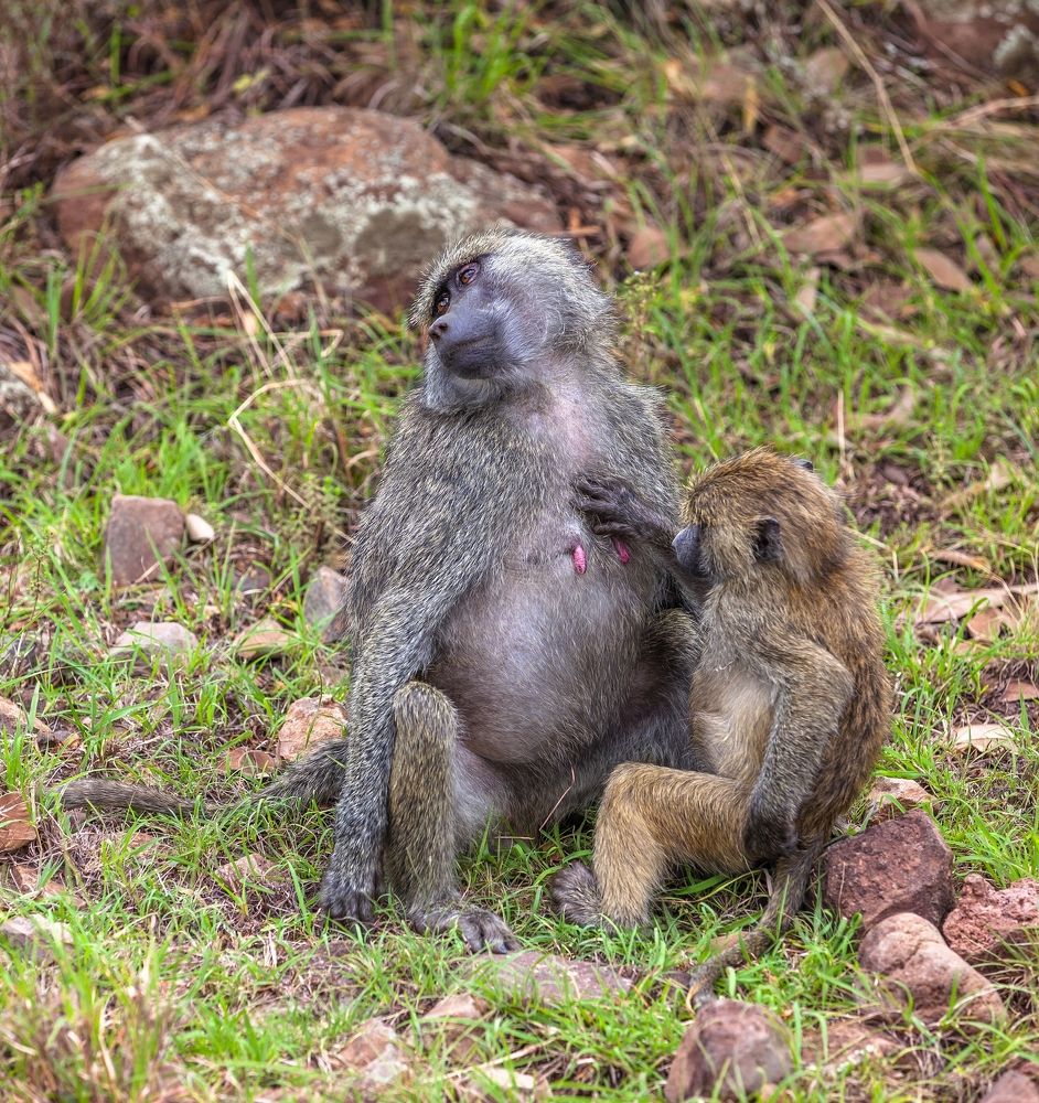 Photograph by Цыба Роман
