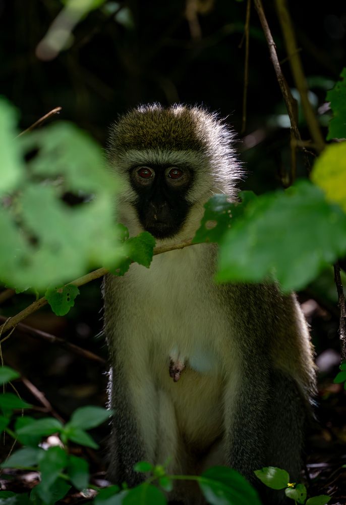 Photograph by Syed Ahmar Amjad