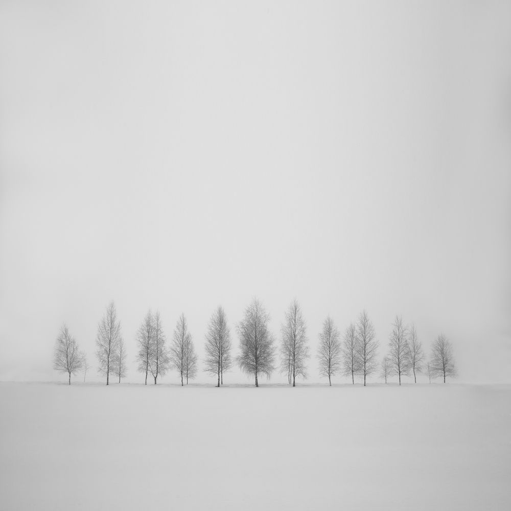 Photograph by Arnis Krūmiņš