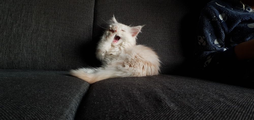 Photograph by Anneliese Wilpe