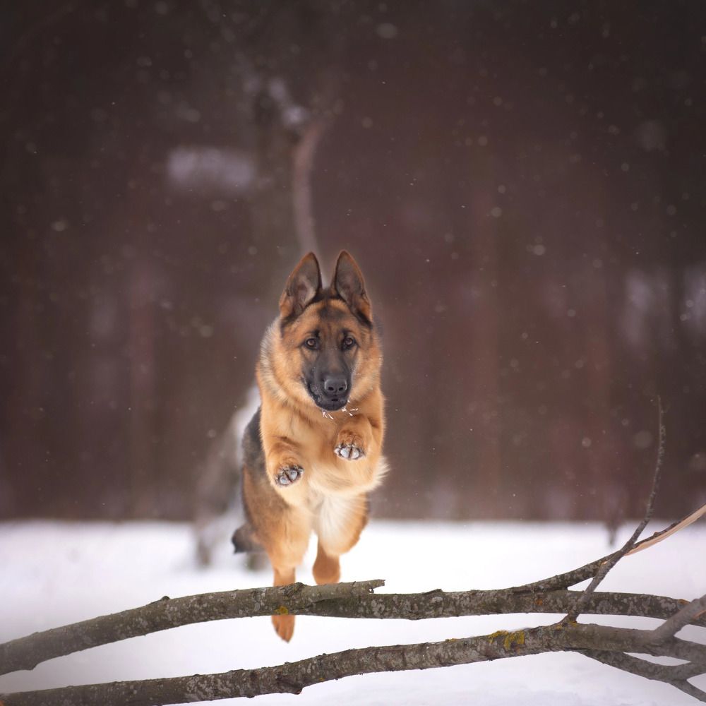 Photograph by Татьяна Рыбцева