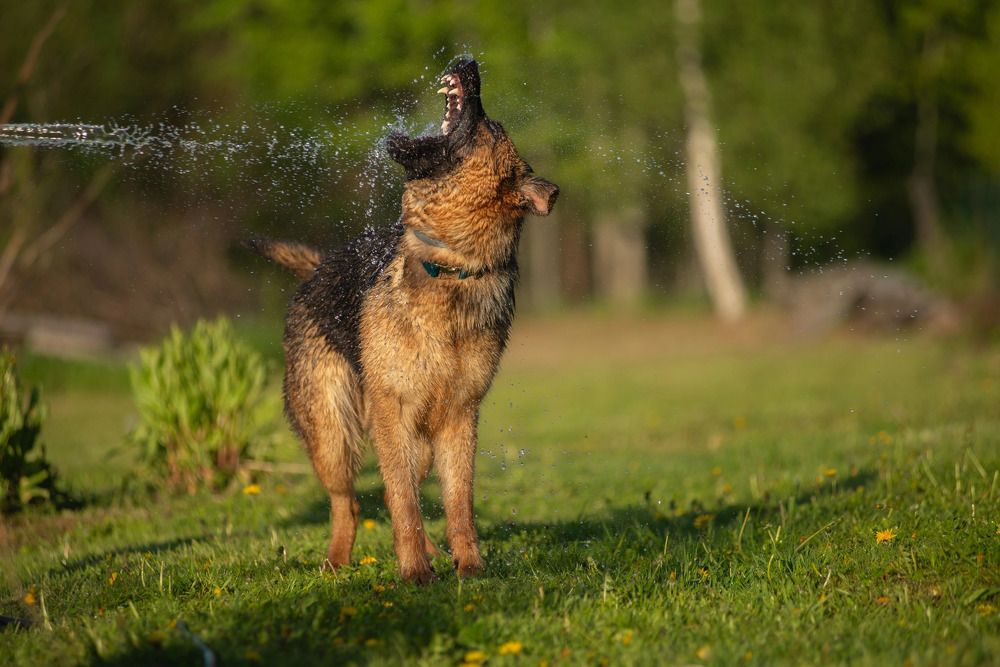 Photograph by Татьяна Рыбцева