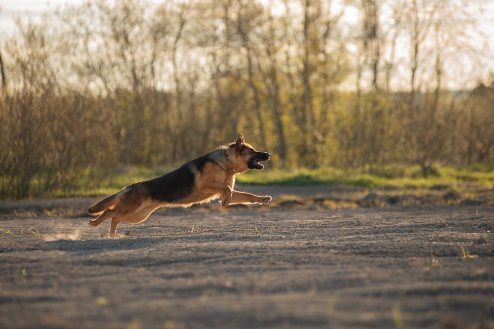 Photograph by Татьяна Рыбцева