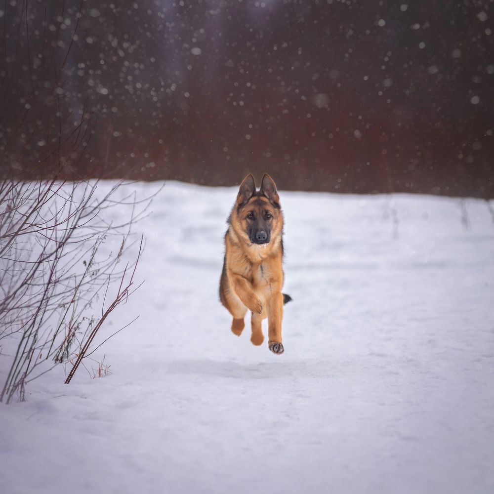 Photograph by Татьяна Рыбцева