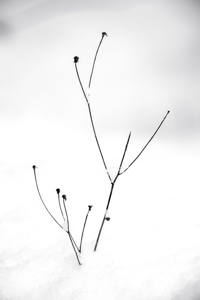 Photograph by Татьяна Новикова