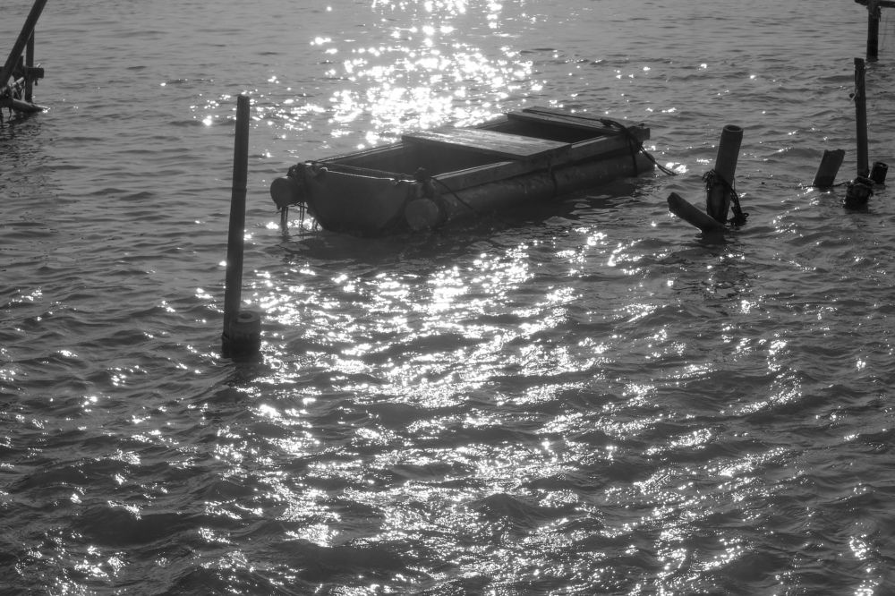 The Boat Shine