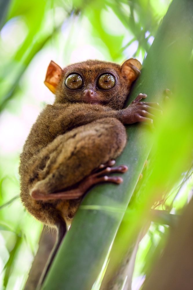 Photograph by Цыба Роман