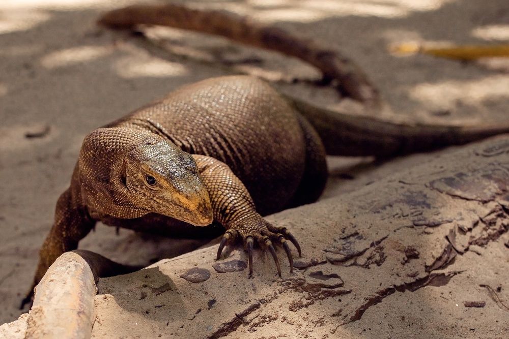 Photograph by Ольга Хентова