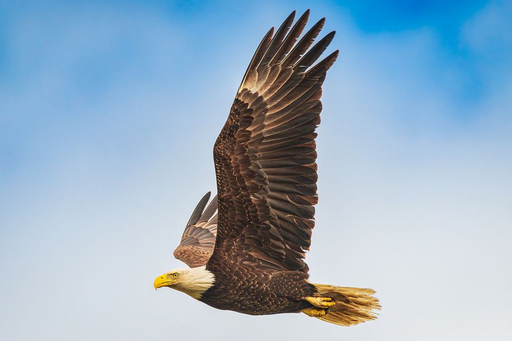 Photograph by RyanCarterMedia