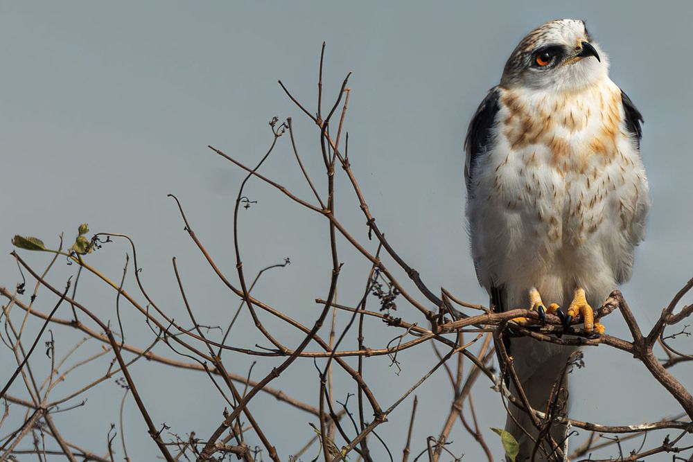 Photograph by RyanCarterMedia