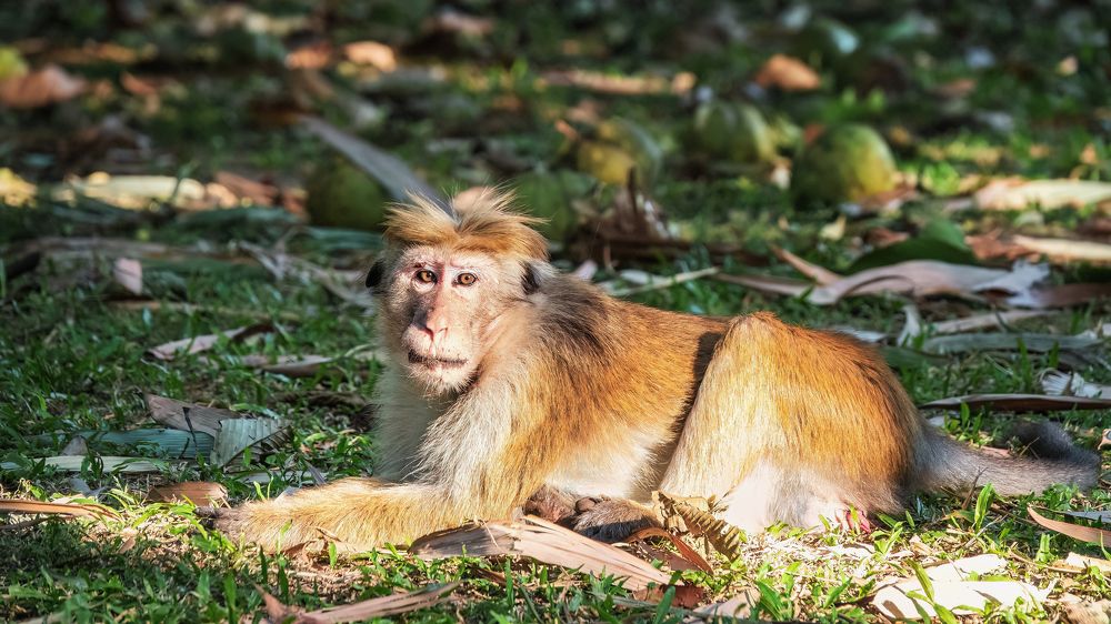 Photograph by Дудников Александр