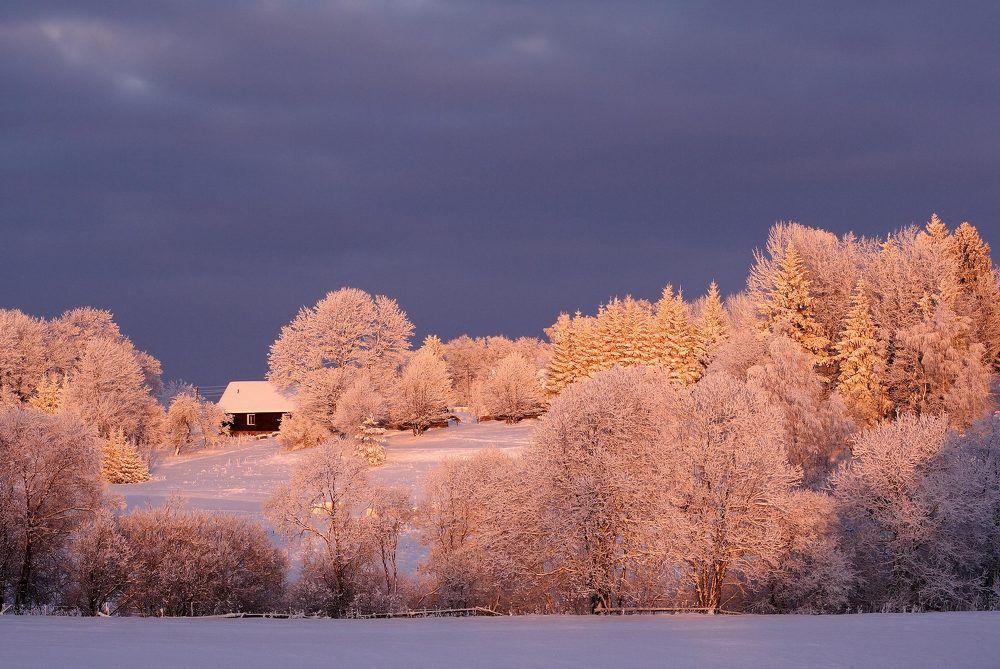 Photograph by Arnis Krūmiņš