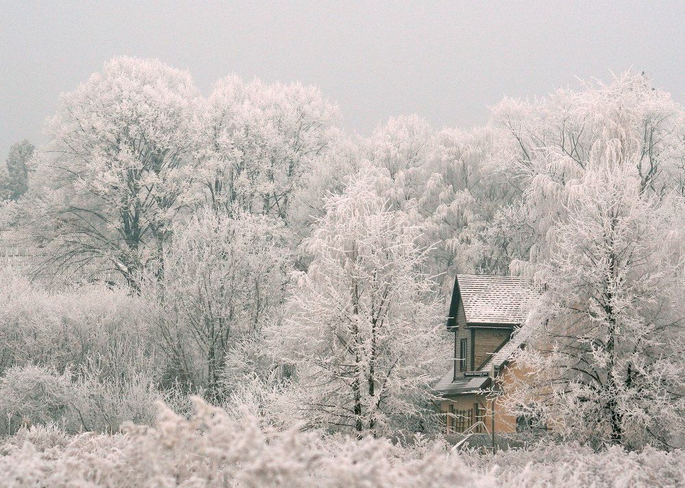 Photograph by Arnis Krūmiņš