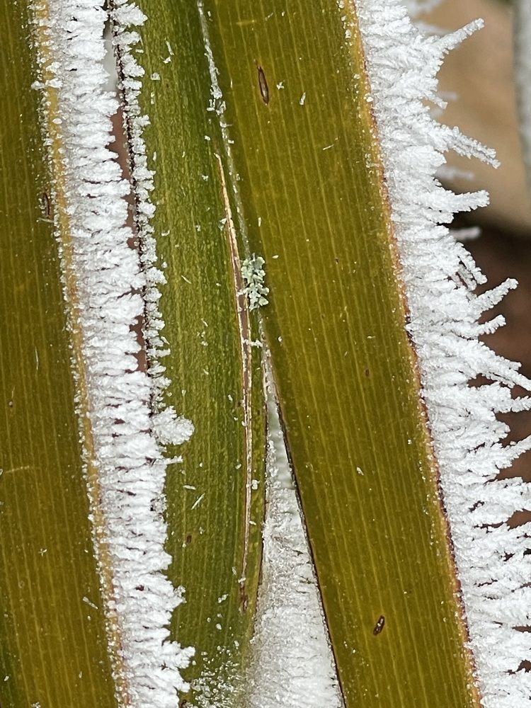 Photograph by Irina Chernova