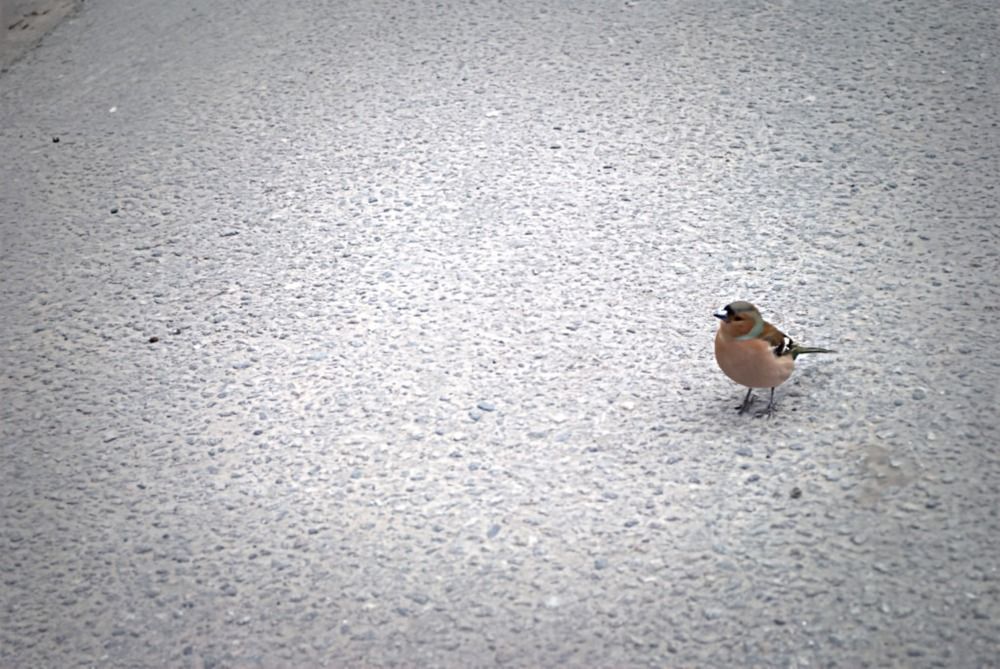 Photograph by Надежда Козлова
