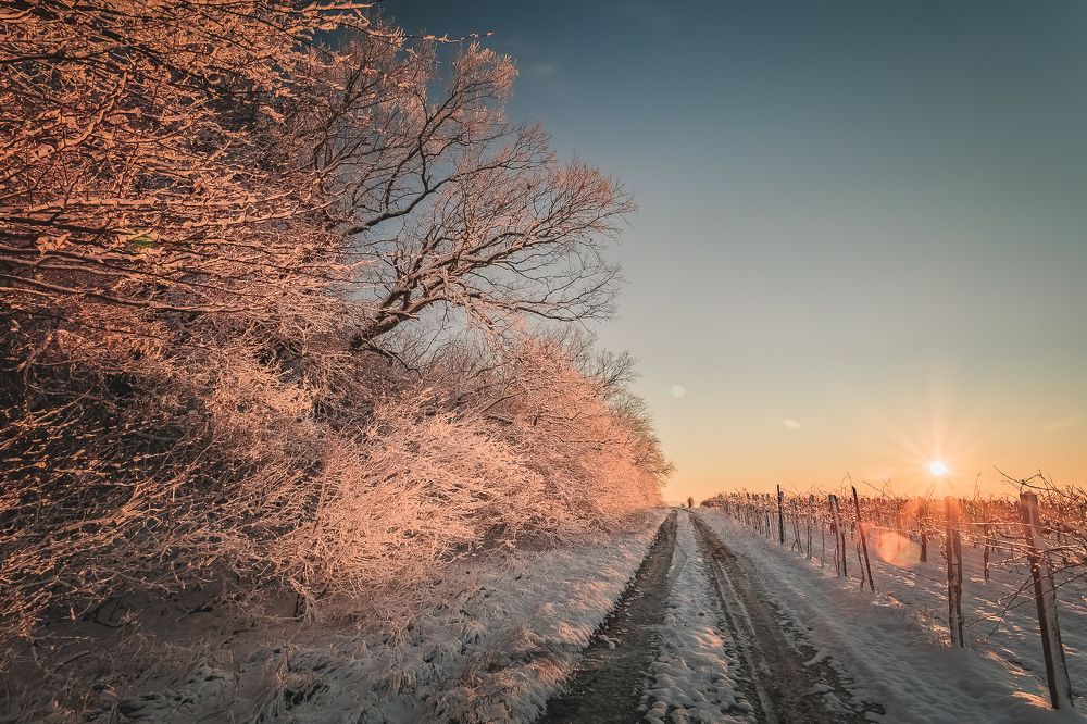 Photograph by Филипп Бабенко