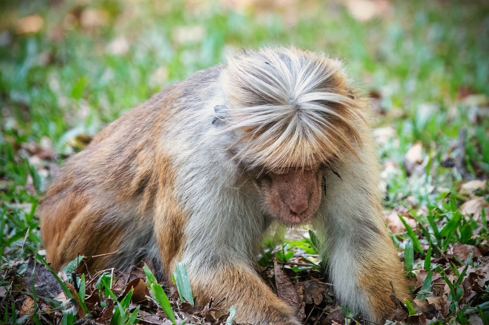 Photograph by Дудников Александр