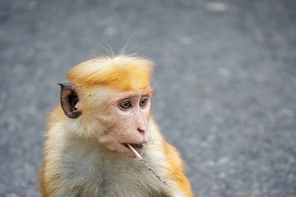 Photograph by Дудников Александр