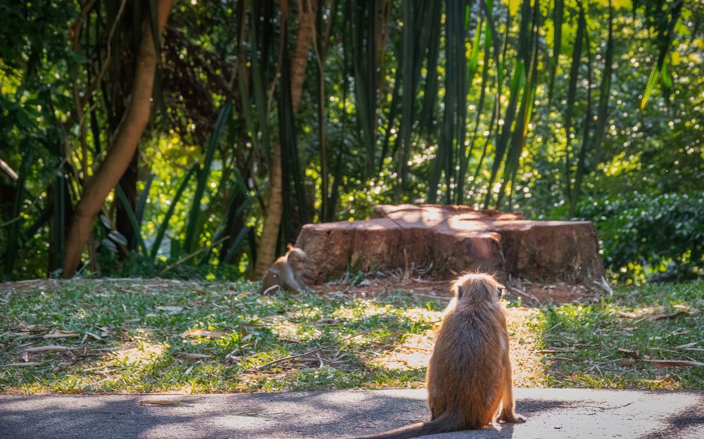 Photograph by Дудников Александр
